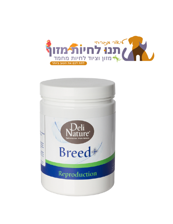 בריד פלוס + BREED