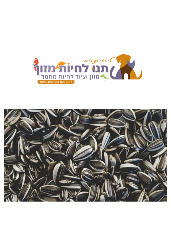 שק גרעיני חמנייה עם קליפה 25 ק"ג – מקור המיקס