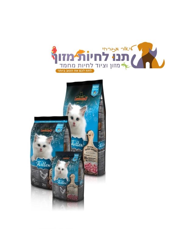 לאונרדו גורים Leonardo Kitten