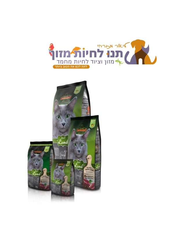 לאונרדו כבש Leonardo Adult Lamb