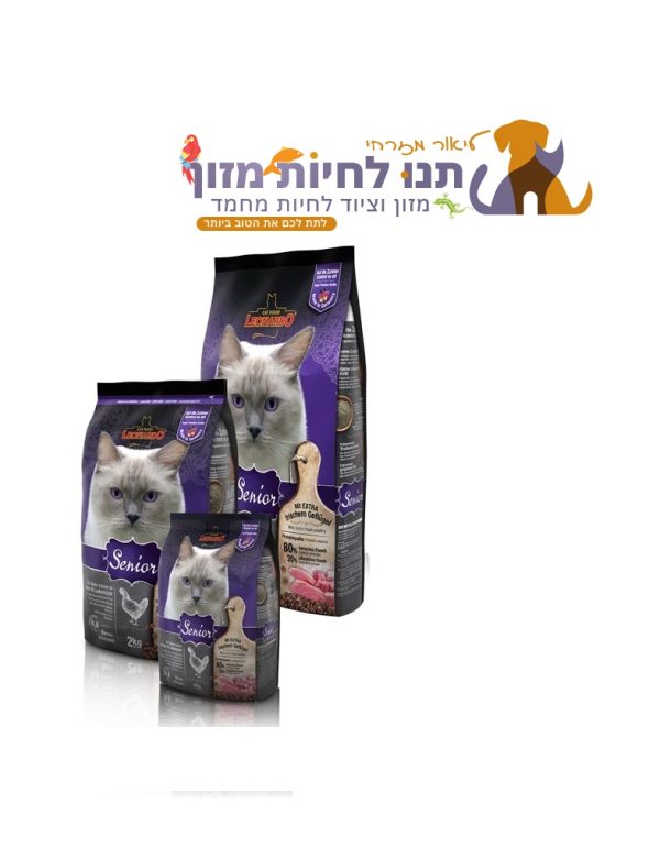לאונרדו סניור Leonardo Adult Senior