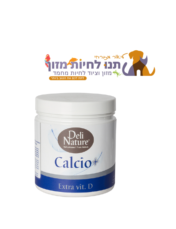 קלציו פלוס + Calcio