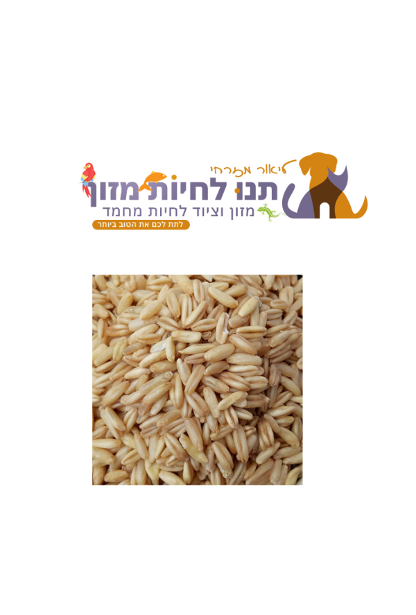 שק שיבולת שועל קלופה – מקור המיקס 25 ק"ג