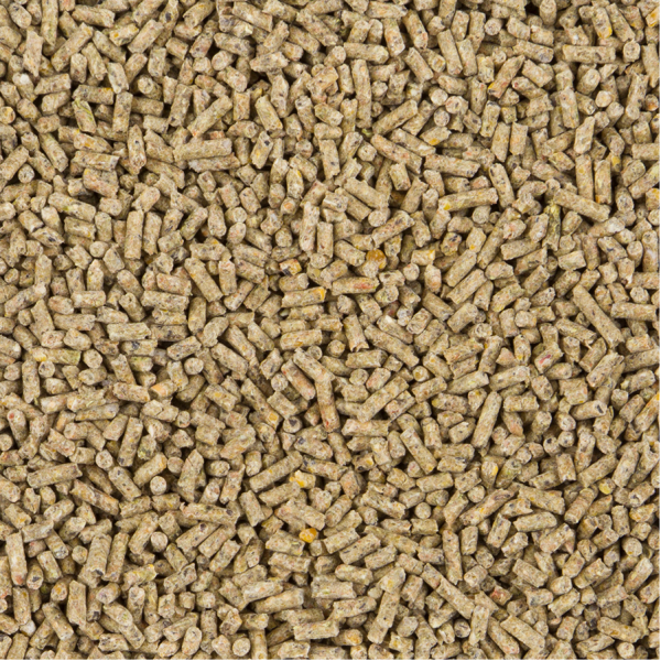 ⁦כופתיות לתרנגולות מטילות ChiX Laying Pellet דלי נייצ'ר⁩ – תמונה ⁦2⁩