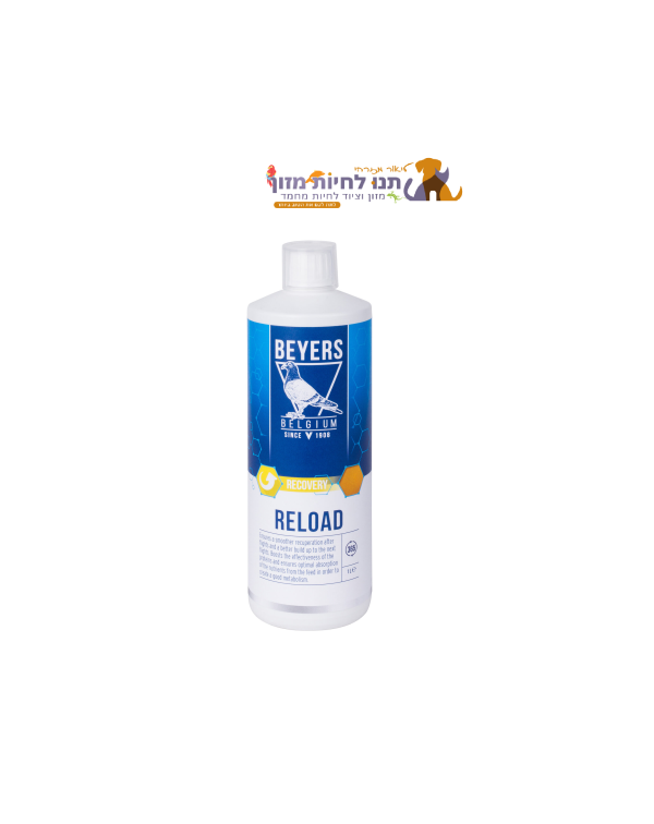BEYERS רילואד - 1000 מ"ל Reload - 1000 ML