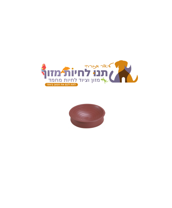 קן ליונים STA N004