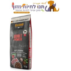 אדולט פאוור