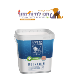 בלווימין גדול לאתר
