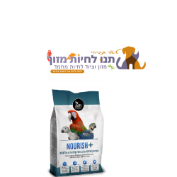 דייסה עתיר שומן