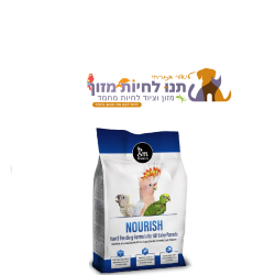 דייסה רגיל