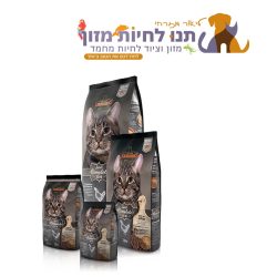 לאונרדו פיט