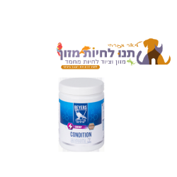 קונדישן לאתר