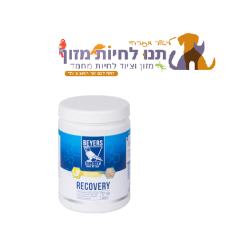 ריקאברי לאתר